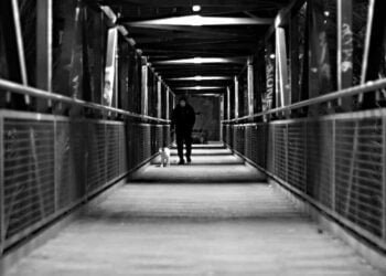 Un señor caminando con su perro en un puente oscuro de transmilenio.