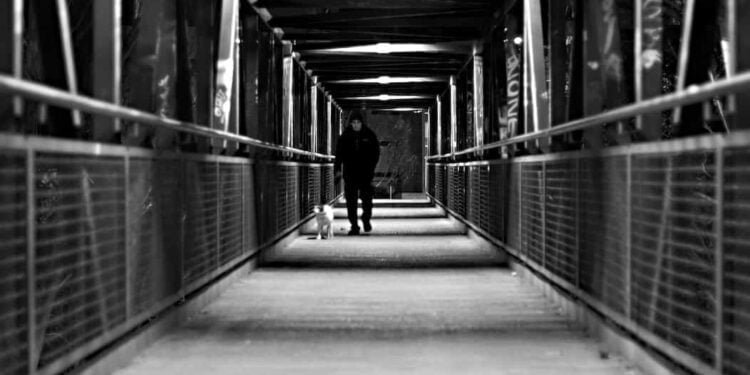 Un señor caminando con su perro en un puente oscuro de transmilenio.