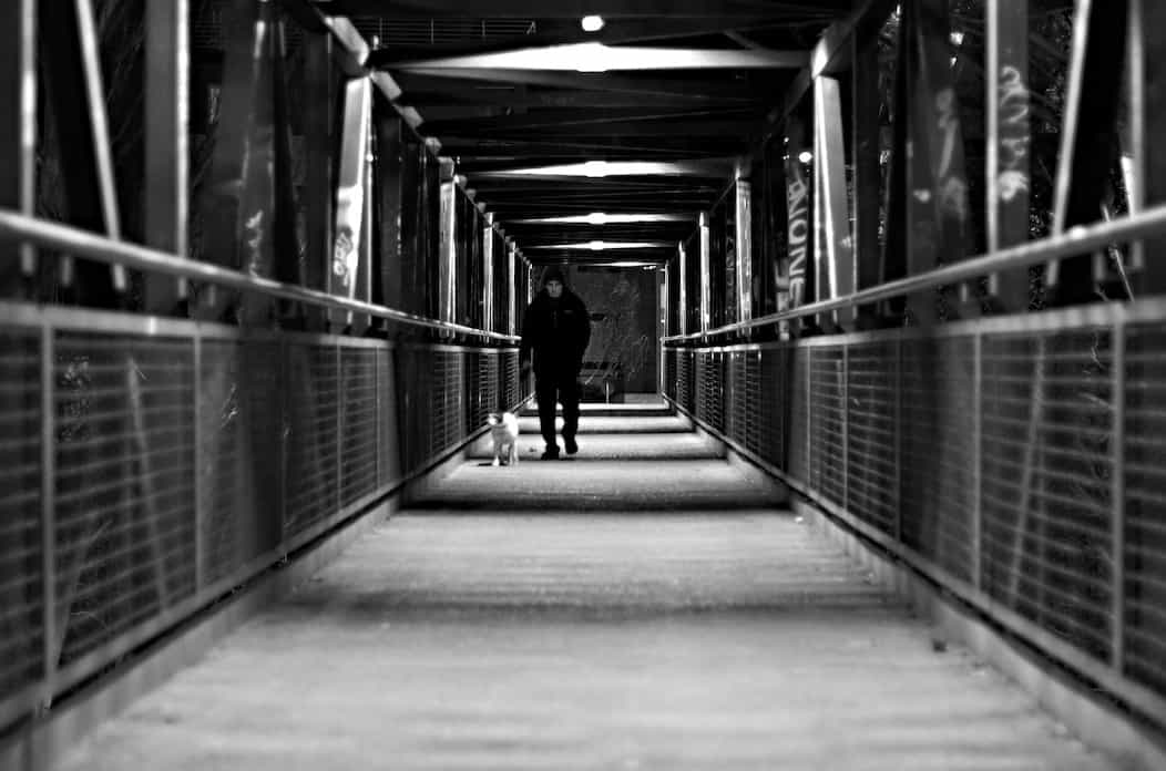 Un señor caminando con su perro en un puente oscuro de transmilenio.
