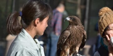 Una persona mirando detenidamente a un ave.