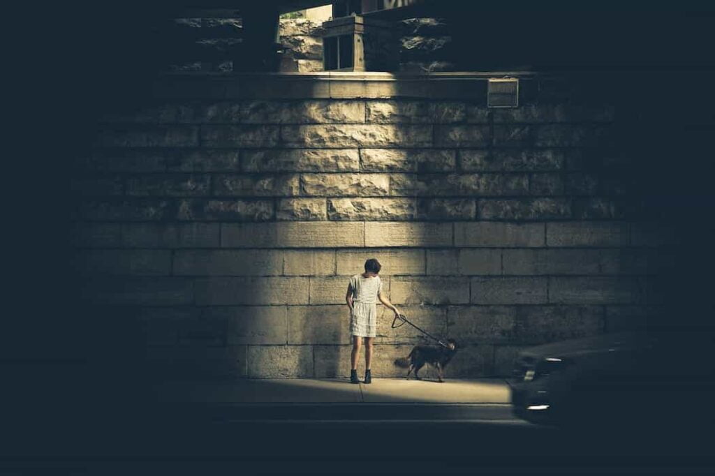 Un niño esta en medio de la calle junto a su perro y una luz led que cubre su cuerpo mientras el ve a su mascota en Villapinzón y los secretos para vivirlo.