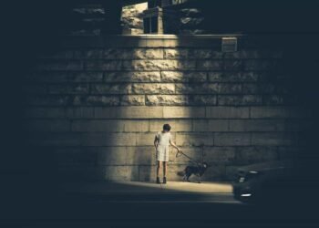 Un niño esta en medio de la calle junto a su perro y una luz led que cubre su cuerpo mientras el ve a su mascota en Villapinzón y los secretos para vivirlo.