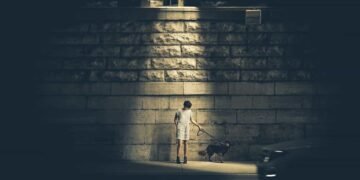 Un niño esta en medio de la calle junto a su perro y una luz led que cubre su cuerpo mientras el ve a su mascota en Villapinzón y los secretos para vivirlo.