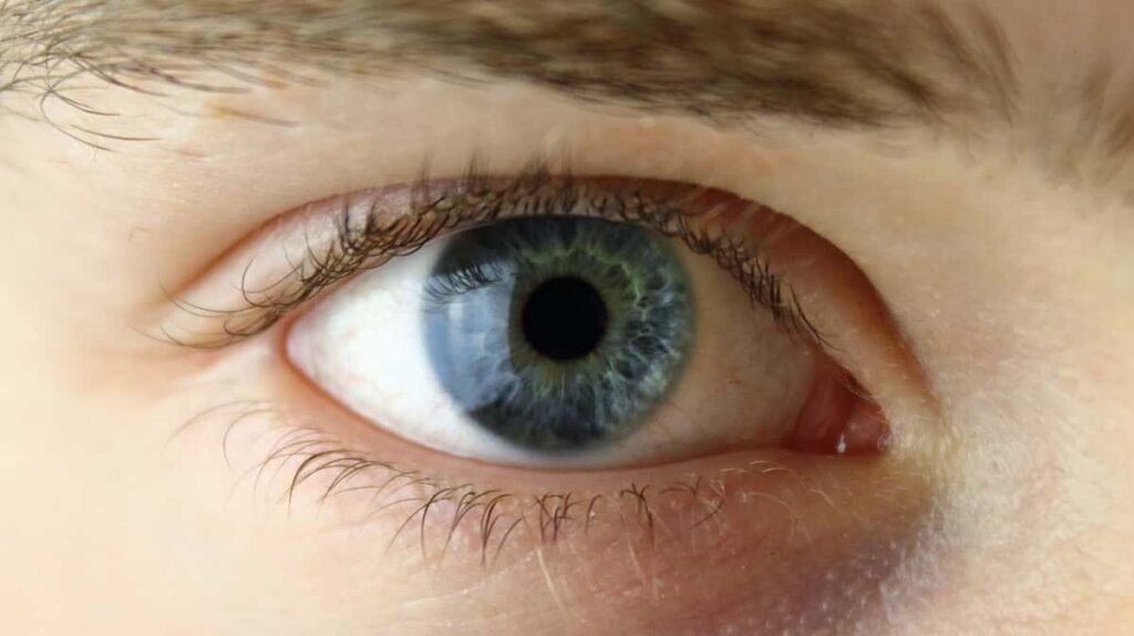 Ganan candidatos políticos con estos rasgos de sus ojos en campaña.