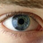 Ganan candidatos políticos con estos rasgos de sus ojos en campaña.