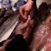 Una persona compra pescado.