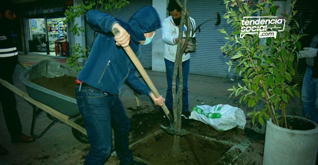 Funcionarios Alcaldía de Soacha sembrando arboles