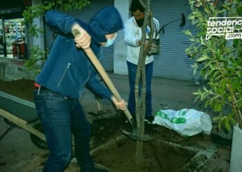 Funcionarios Alcaldía de Soacha sembrando arboles