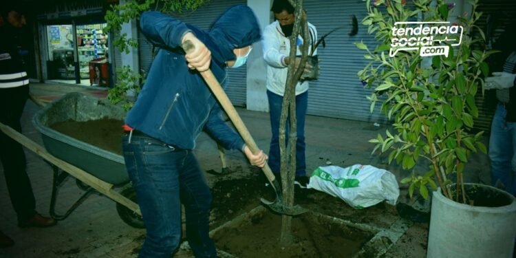 Funcionarios Alcaldía de Soacha sembrando arboles