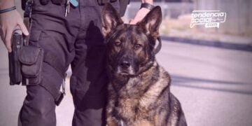 Bomba en la Alcaldía de Soacha