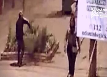 Apareció responsable del daño a matas y arboles de la calle 13 de Soacha