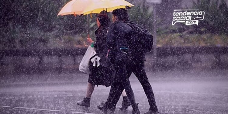 Sin importar si eres hombre o mujer, ya puedes salir todo el día. ¡Pico y cédula en Soacha!