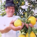 Convocatoria en cundinamarca: “Alianzas Productivas para la vida fase II” para financiar proyectos a pequeños productores rurales.