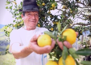 Convocatoria en cundinamarca: “Alianzas Productivas para la vida fase II” para financiar proyectos a pequeños productores rurales.