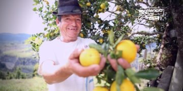 Convocatoria en cundinamarca: “Alianzas Productivas para la vida fase II” para financiar proyectos a pequeños productores rurales.