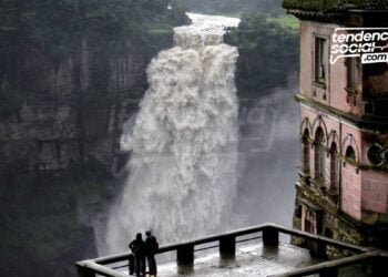 Conoce más de 6 acciones para beneficiar al medio ambiente en los municipios