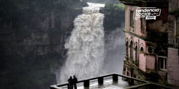 Conoce más de 6 acciones para beneficiar al medio ambiente en los municipios