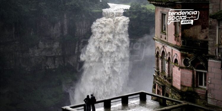 Conoce más de 6 acciones para beneficiar al medio ambiente en los municipios