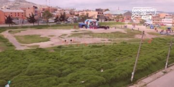 Pareja se burlo del Código de la Policía y así los graban emulando un acto sexual en el campo de los locos en Soacha. ¡Qué descaro!