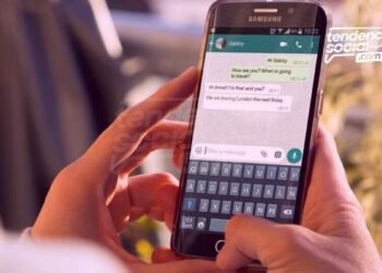 Todo sobre la actualización y políticas de WhatsApp en tu celular, qué hacer y cómo aceptarlas en la mensajería según Facebook.