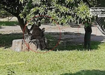 Jesús se apareció en Palmira Cali Colombia