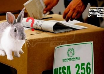 ¿Conejo? Extrañas cédulas en la página de la Registraduría listas para votar