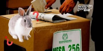 ¿Conejo? Extrañas cédulas en la página de la Registraduría listas para votar