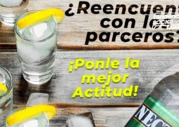 ¡Chicos vuelve la rumba! abrirán 5000 bares en el país, restaurantes y discotecas