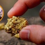Comprar comida con oror en Venezuela | TendenciaSocial.com