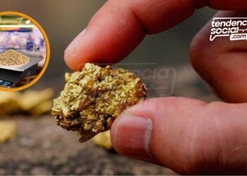 Comprar comida con oror en Venezuela | TendenciaSocial.com