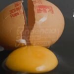 ¿Tienen huevo? Así de carísimo está en los supermercados y bien chiquitos