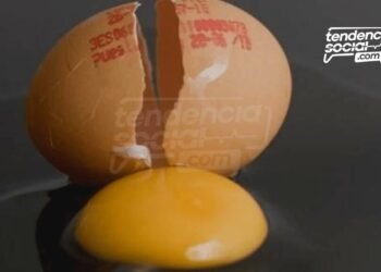¿Tienen huevo? Así de carísimo está en los supermercados y bien chiquitos