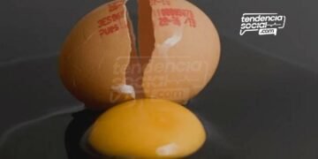 ¿Tienen huevo? Así de carísimo está en los supermercados y bien chiquitos