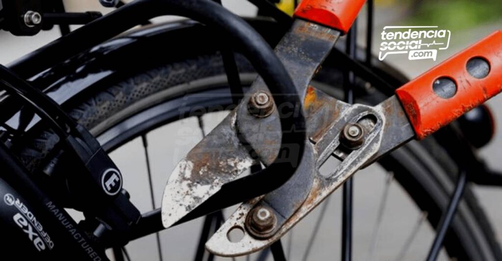 Durante el paro del 20 de julio, así robaron bicicletas guardadas en TransMilenio