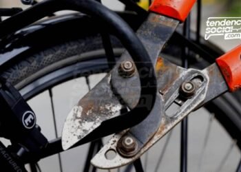 Durante el paro del 20 de julio, así robaron bicicletas guardadas en TransMilenio