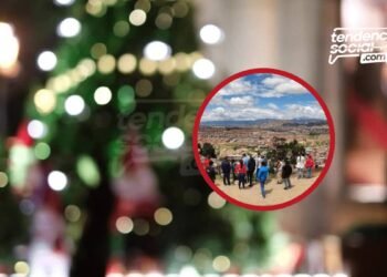 Así la Veredita en navidad tendrá el árbol y el pesebre más grande de Colombia