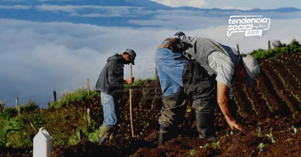 Está es la comida del campo en Cundinamarca que más compras y llevas a tu panza