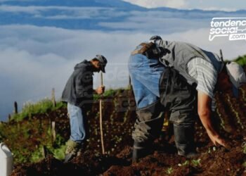 Está es la comida del campo en Cundinamarca que más compras y llevas a tu panza