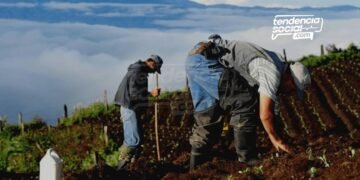Está es la comida del campo en Cundinamarca que más compras y llevas a tu panza