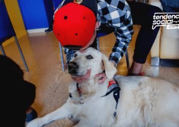 (Gratis) Requisitos y lugares para la esterilización de tu mascota en Soacha