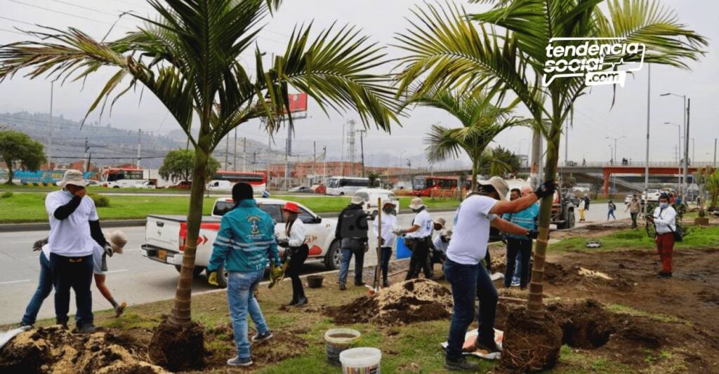 Más ranas y aves llegarían a Soacha con la siembra de plantas y palmas