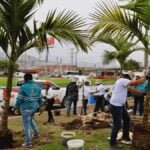 Más ranas y aves llegarían a Soacha con la siembra de plantas y palmas