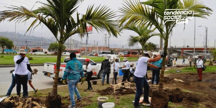 Más ranas y aves llegarían a Soacha con la siembra de plantas y palmas