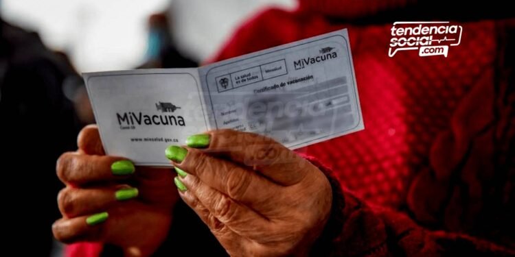 ¡Toma nota! Lugares donde te pedirán el carné de vacunación desde ya