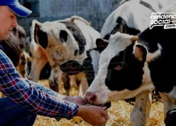 Se vuelve normal que en Cundinamarca encuentran vacas y caballos muertos ¿A qué se debe?