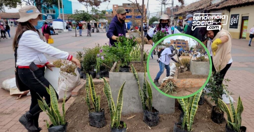 Se pusieron las pilas: Cambio total, a las materas que estaban dañadas en el parque