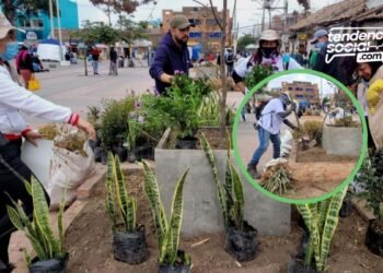 Se pusieron las pilas: Cambio total, a las materas que estaban dañadas en el parque