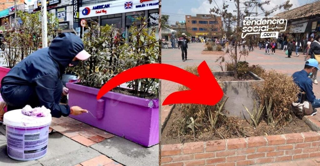 [Fotos]¡Qué desconsideración! Así de tristes están las materas que embellecen el centro de Soacha