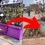 [Fotos]¡Qué desconsideración! Así de tristes están las materas que embellecen el centro de Soacha