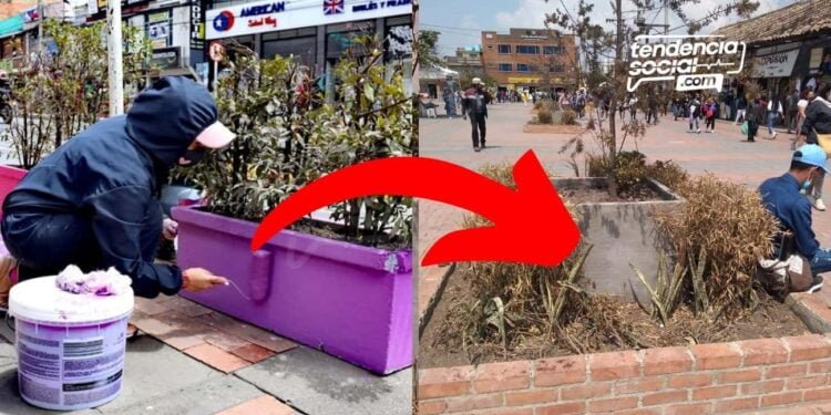 [Fotos]¡Qué desconsideración! Así de tristes están las materas que embellecen el centro de Soacha